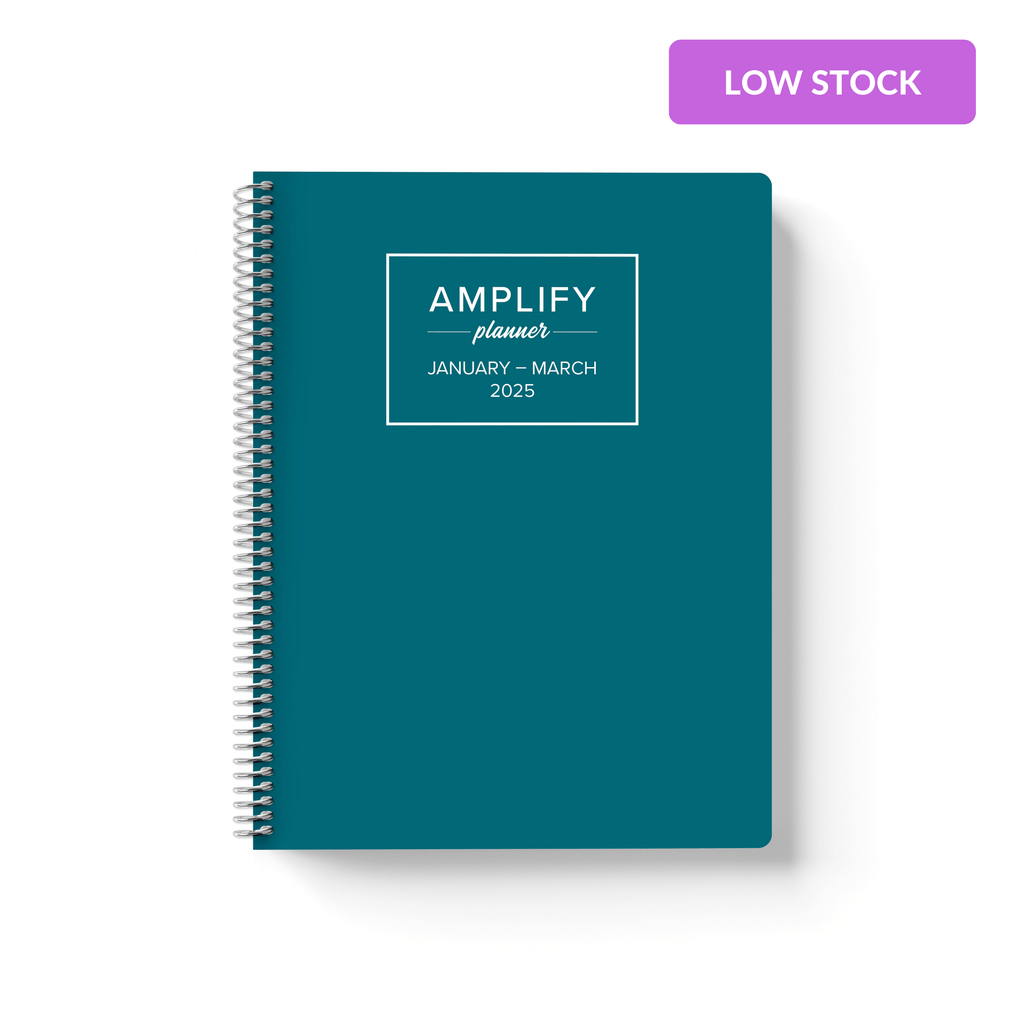 ideal teal 2025 quarterly amplify planner