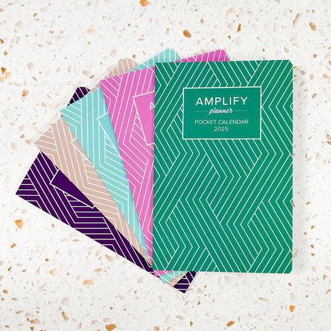 2025 amplify planner pocket calendar